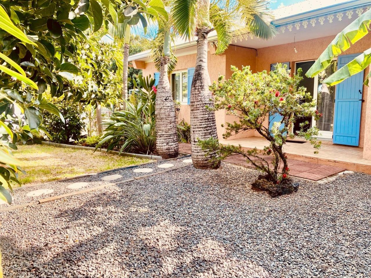 L'Oasis Saint Pierroise Et Son Jacuzzi Villa Eksteriør billede